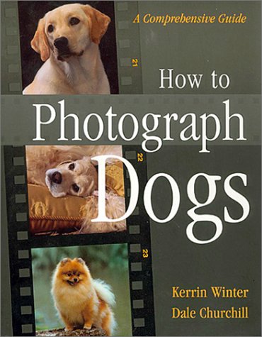 How To Photograph Dogs: A Comprehensive Guide