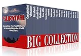 Survival Big Collection: Everything You Need to Know to Survive When the World Goes Silent (Survival Mega-Bundle)