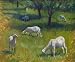 Landscapes