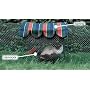 Green Kittywalk KABANA for Cats