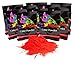 Holi Color Powder Red 10 Pack of 70 Grams Each