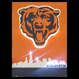 CHICAGO BEARS NEON/LED PICTURE