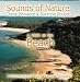 A WALK AT THE BEACH (Sounds of Nature Series)