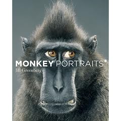 Monkey Portraits