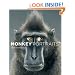 Monkey Portraits