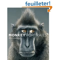Monkey Portraits