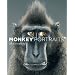 Monkey Portraits