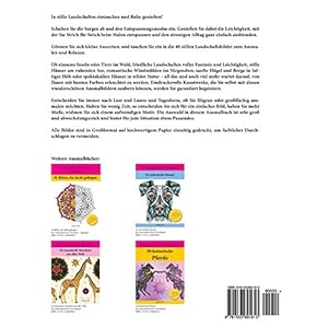 LANDSCHAFTEN - zum Ausmalen und Relaxen: Band 2, Malbuch für Erwachsene