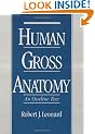 Human Gross Anatomy: An Outline Text