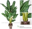 ONE 6' Artificial Banana Tropical Tree, with No Pot,