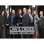 Law & Order: Special Victims Unit Season 10