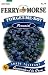 Ferry-Morse Perennial Flower Seeds 1050 Forget-Me-Not Blue Bird 250 Milligram Packet