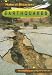 Earthquakes (Natural Disasters)