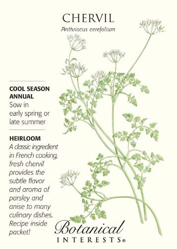 Chervil Seeds - 1 gram - Heirloom Chervil Seeds - 1 gram - Heirloom