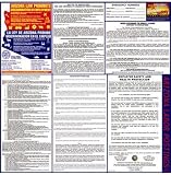 Arizona Spanish State Labor Law Poster