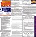 Arizona State Labor Law Poster