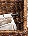 BIRDROCK HOME Abaca Divided Laundry Hamper - Hand Woven - Machine Washable Cotton Canvas Liners