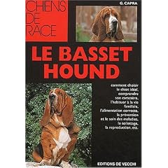 Le Basset Hound