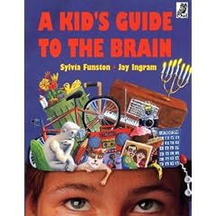 A Kids Guide to the Brain