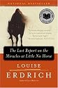 The Last Report on the Miracles at Little No Horse: A Novel