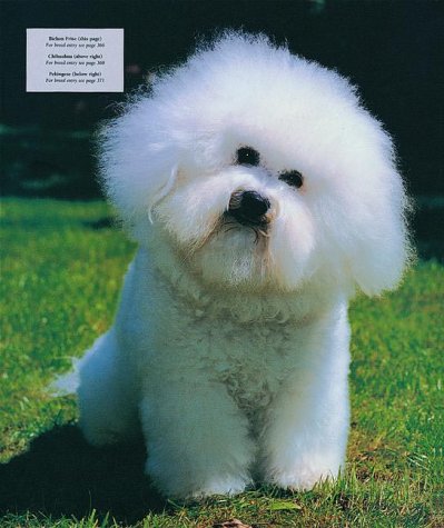 Cover image : The Encyclopedia of the Dog: The Definitive Visual Guide