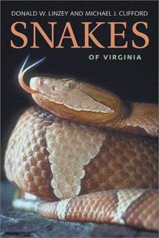 Virginia