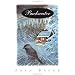 Backwater (Novel)
