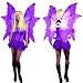 Adult Purple & Blue Fairy Costume Wings