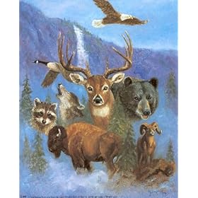 Buck Deer Bison Buffalo Rams Animal 16x20 Art Print