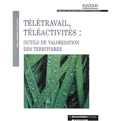 T�l�travail, t�l�activit�s : outils de valorisation des territoires
