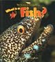 What Is a Fish? (Science of Living Things)