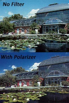 B + W 77mm Circular Polarizer Coated Glass Filter