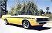 1970 Barracuda Mid Body Side Strobe Stripe Kit - MAGENTA