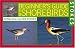 Stokes Beginner's Guide to Shorebirds