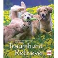 Traumhund Retriever
