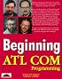 Beginning Atl Com Programming (Beginning)