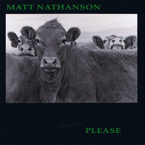 Matt Nathanson - Please - Zortam Music