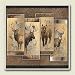 North American Collection Absorbastone Wildlife Trivet