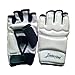 BIAL-SG Taekwondo Sparring Gloves Hand Protector Gear (M)