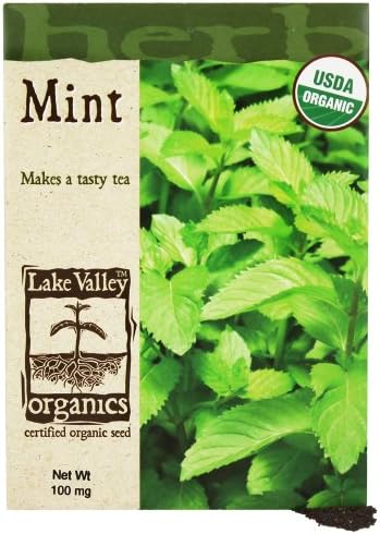 Lake Valley Seed - Organic Mint Seeds - 100 mg.