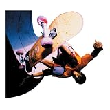 Brewster Wallcovering 18 by 20 Inch Skateboarding Precut Poster Brewster Wallcovering 18-by-20-Inch Skateboarding Precut Poster