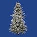 9' Pre-Lit Frosted Wistler Fir Artificial Christmas Tree - Clear Dura Lights