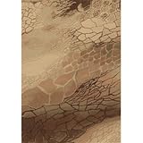 IMAGE OF Eclipse Beige / Brown Contemporary Rug Size: 7'10