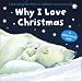 Why I Love Christmas: Celebrating Christmas, in children&acute;s very own words. A soft-to-touch book