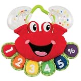 Leapfrog Curious Counting Crab