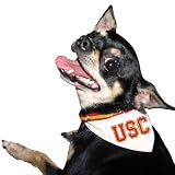 USC Trojans Dog Collar Bandana