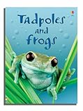 Tadpoles and frogs