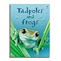 Tadpoles and Frogs (Usborne Beginners)