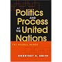 Politics And Process At The United Nations: The Global Dance