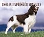 For the Love of English Springer Spaniels Deluxe 2005 Wall Calendar